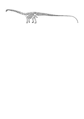 Dinosaurier Diplodocus