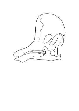 Dinosaurier Corythosaurus