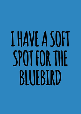 Soft spot for the bluebird