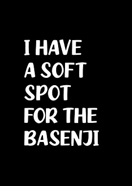 Soft spot for the Basenji