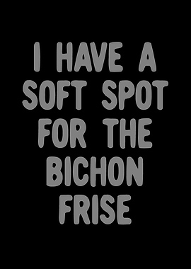 Bichon Frise