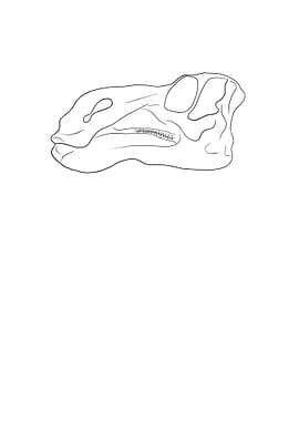 Dinosaurier Maiasaura