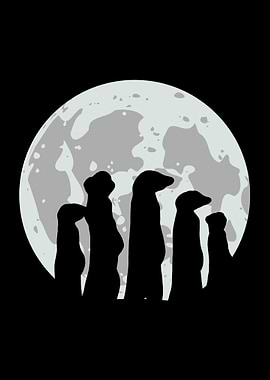 Meerkat Moon Silhouette