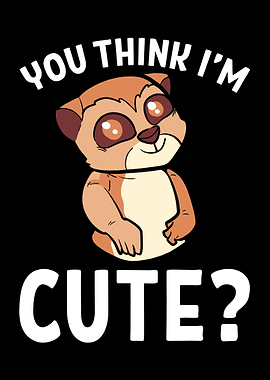 Cute Meerkat