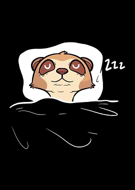 Meerkat Sleeping