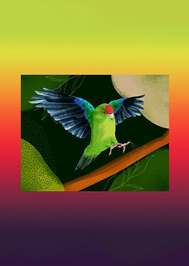 Parakeet Bird