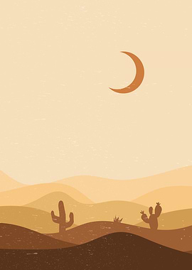 Nature Sunset cactus plant