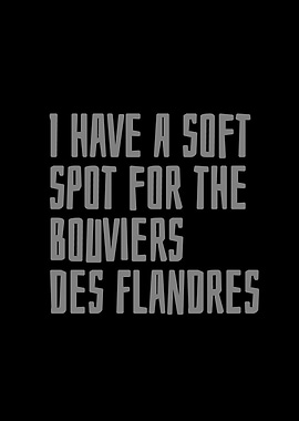 Bouviers des Flandres