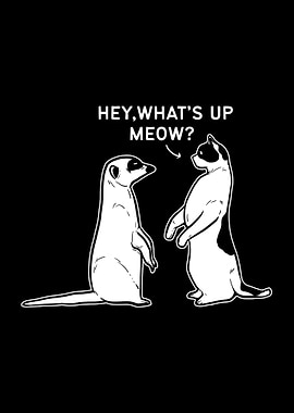 Meerkat Cat Pun