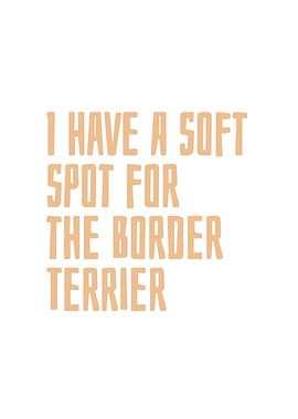Border Terrier