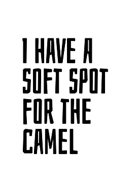 Soft spot for the camel