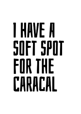Soft spot for the caracal