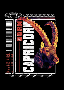 Zodiac Star Sign Capricorn