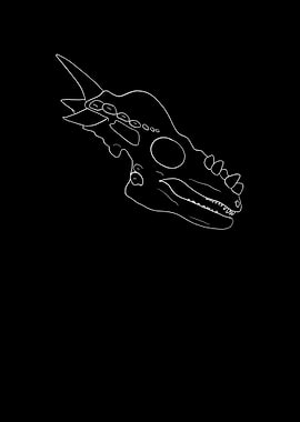 Dinosaurier Dracorex