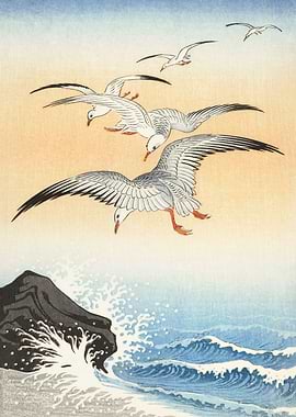 seagull above sea Japanese