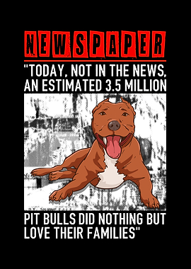 Funny Pit Not in The News