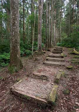 Ecological Step Walk