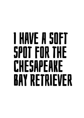 Chesapeake Bay Retriever