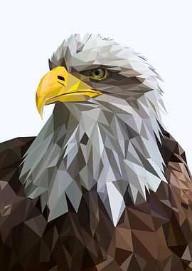 nursery animal eagle