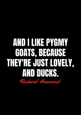 Richard Hammond Quotes