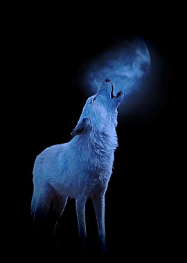 White wolf