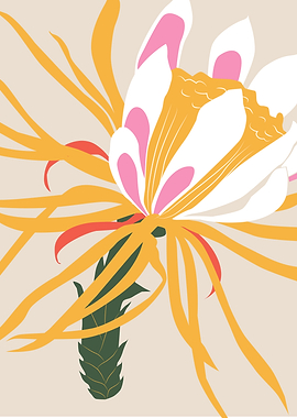 Colorful tropical Flower