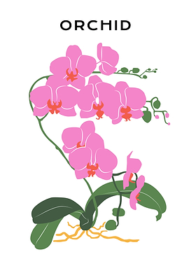 Pink Orchid floral art