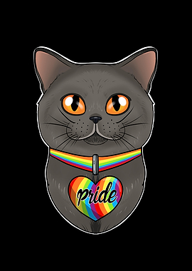 British Shorthair Cat Gay
