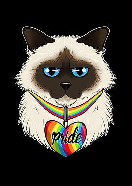Birman Cat LGBTQ Flag