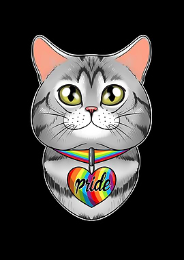 American Shorthair Cat Gay