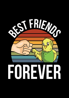 Cute Budgie Pet Birds Gift