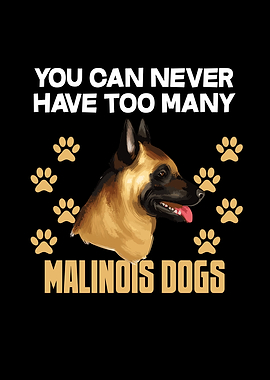 Funny Malinois Dog Head