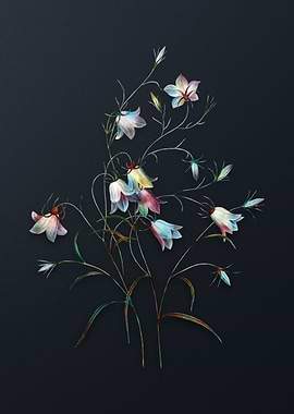 Campanule Clochette Flower