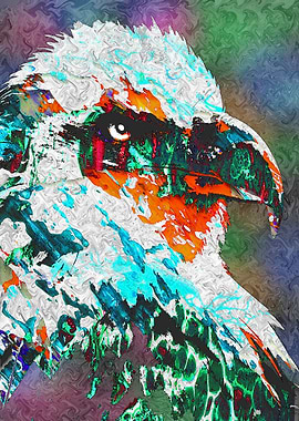 falcon abstract