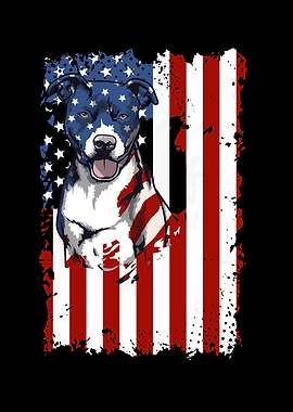 American Flag Pit bull