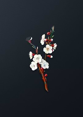 Vintage Apricot Flower