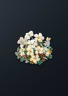 Piottas Oxalis Flower