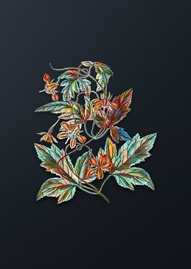 Vintage Red Loasa Flower