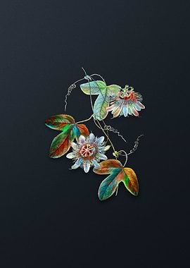 Sullivans Passion Flower