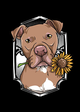 Pitbull Holding Sunflower