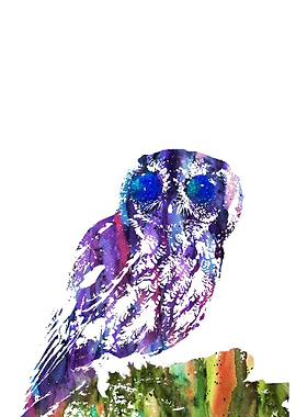 Owl with starry eyes