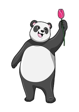 Panda Tulip Flower