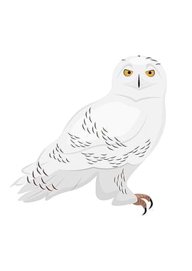 Snowy Owl Bird