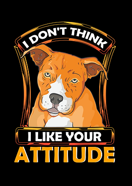 I Dont Like Your Attitude