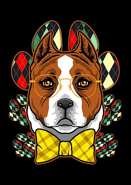 Pitbull Wearing Glasses