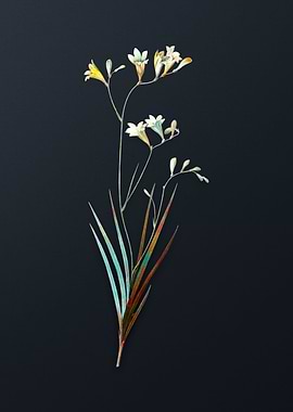 Vintage Freesia Flower