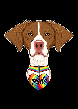 Brittany LGBTQ Flag I Gay