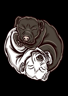 Cute Ying Yang Pitbull