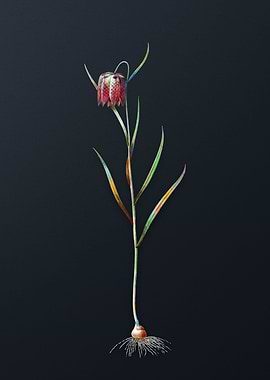 Vintage Chess Flower