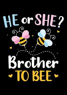 Gender reveal he or she br